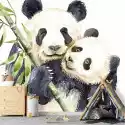 Wally Piekno Dekoracji Tapeta Dla Dzieci Misie Panda 0498