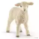 Schleich  Mała Owieczka 