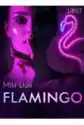 Flamingo – Opowiadanie Erotyczne