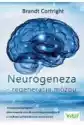 Neurogeneza - Regeneracja Mózgu