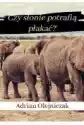 Czy Słonie Potrafią Płakać?