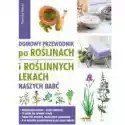  Domowy Przewodnik Po Roślinach I Po Roślinnych.. 