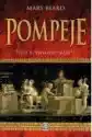 Pompeje. Życie Rzymskiego Miasta