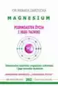 Magnesium - Pierwiastek Życia I Jego Tajniki. Uniwersalny Kontro