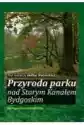 Przyroda Parku Nad Starym Kanałem Bydgoskim. Monografia Przyrodn