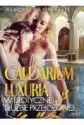 Caldarium Luxuria – W Erotycznej Służbie Przełożonej