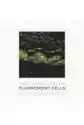 Fluorescent Cells. Confocal Microscope Images Album