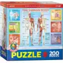  Puzzle 100 El. Smartkids The Human Body Eurographics