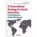  A Transnational Strategy For Social Innovation In The Integrati