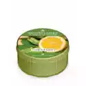 Country Candle Country Candle Świeczka Zapachowa Citrus And Sage Daylight Candl