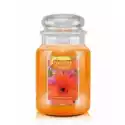 Country Candle Country Candle Duża Świeca Z Dwoma Knotami Sunshine & Daisies 65