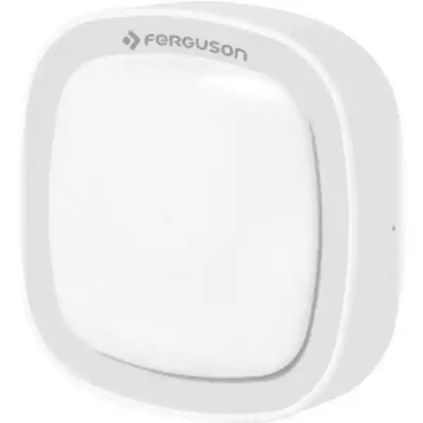 Czujnik Ruchu Ferguson Fs1Ms Wi-Fi