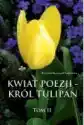 Kwiat Poezji - Król Tulipan