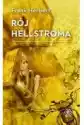 Rój Hellstroma