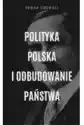 Polityka Polska I Odbudowanie Państwa