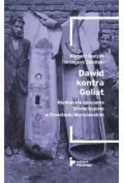 Dawid Kontra Goliat. Niemieckie Specjalne Środki Bojowe W Powsta