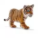  Mały Tygrys 