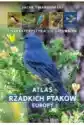 Atlas Rzadkich Ptaków Europy