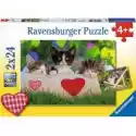 Ravensburger  Puzzle 2 X 24 El. Kotki Ravensburger