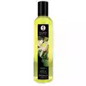 Shunga Organiczny Olejek Do Masażu - Shunga Massage Oil Organic Green T