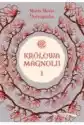 Królowa Magnolii 1