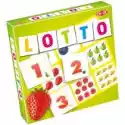 Tactic  Fruit Lotto 