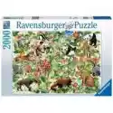 Ravensburger  Puzzle 2000 El. Dżungla Ravensburger