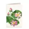 Tassotti Tassotti Karnet B6 + Koperta 5930 Kwiat Lotosu 