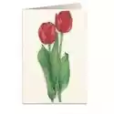 Tassotti Karnet B6 + Koperta 7517 Czerwone Tulipany 