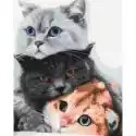 Twoje Hobby Malowanie Po Numerach. Koty Mruczą 40 X 50 Cm