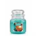 Country Candle Country Candle Średnia Świeca Z Dwoma Knotami Blueberry French T