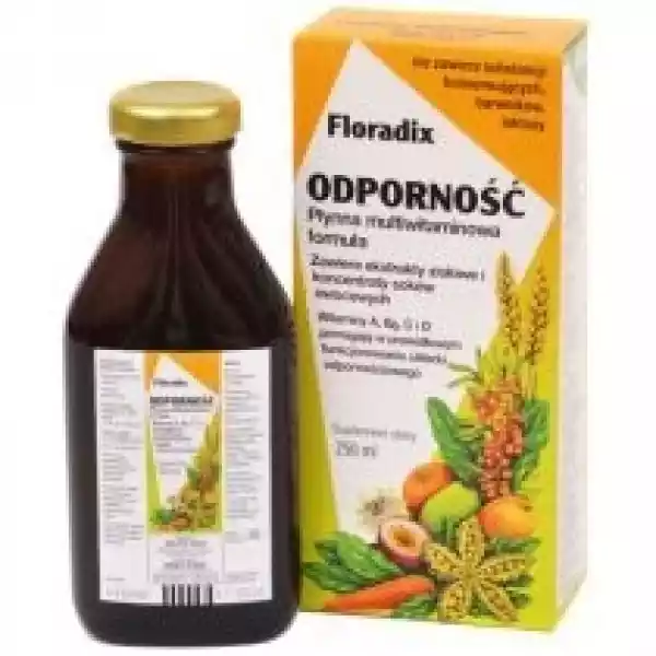 Floradix Zioło-Piast Odporność Suplement Diety 250 Ml