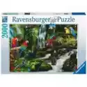 Ravensburger  Puzzle 2000 El. Papugi W Dżungli Ravensburger