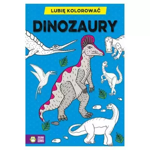 Kolorowanka Dla Dzieci Lubię Kolorować Dinozaury