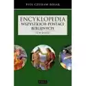  Encyklopedia Wszystkich Postaci Biblijnych T.2 