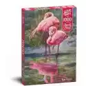  Puzzle 1000 El. Cherry Pazzi. Bingo Flamingo Timaro