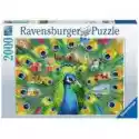  Puzzle 2000 El. Pawia Kraina Ravensburger