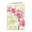Tassotti Tassotti Karnet B6 + Koperta 5722 Różowa Orchidea 
