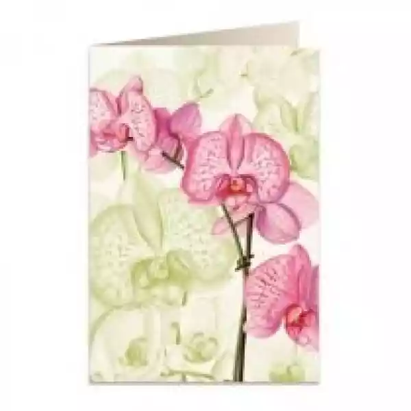 Tassotti Karnet B6 + Koperta 5722 Różowa Orchidea 