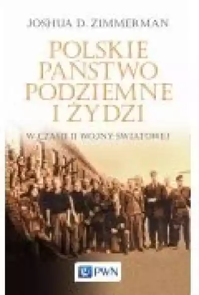 Polskie Państwo Podziemne I Żydzi