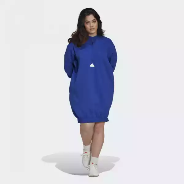 Half-Zip Sweater Dress (Plus Size)
