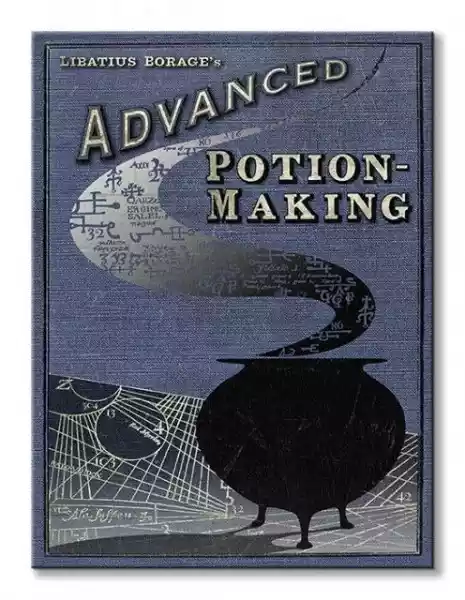Harry Potter (Potion Making) - Obraz Na Płótnie
