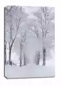 Zima Na Mazurach - Obraz Na Płótnie Wymiar Do Wyboru: 20X30 Cm