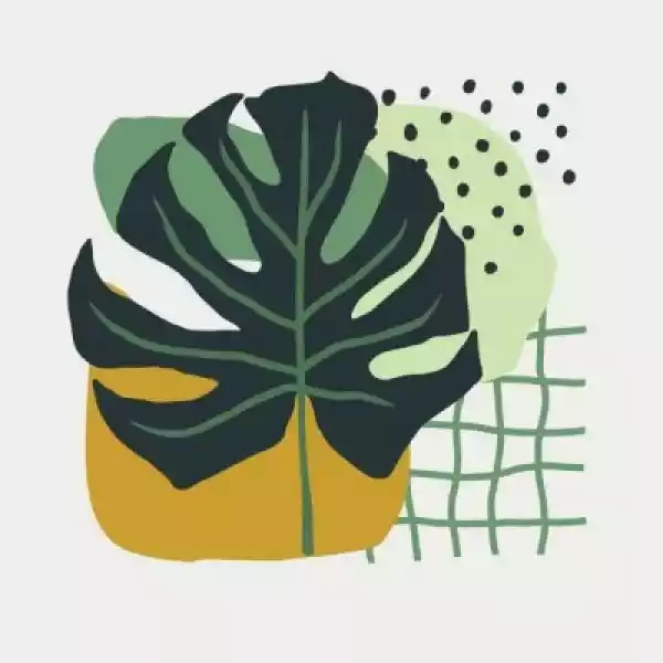 Obraz Hand Drawn Collage Of Simple Shapes And Leaves Monstera In