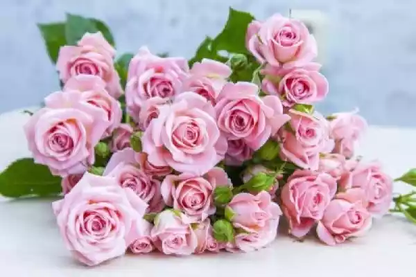 Obraz Bukiet Róż Piękne Różowe