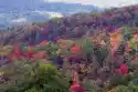Redro Obraz Great Smoky Mountains National Park W Pełnym Kolorze Jesie