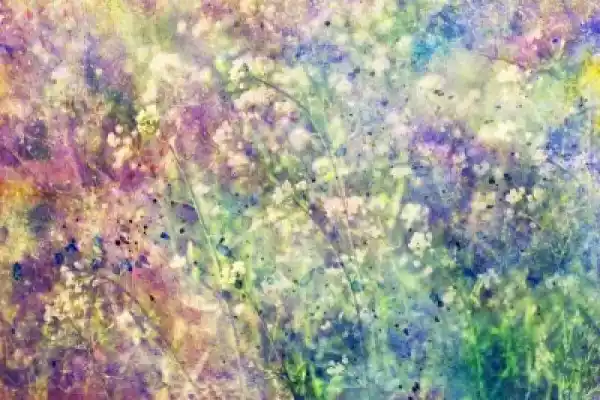 Obraz Akwarela Splatter Grunge Kolorowe Kwitnące Kwiaty I Małe