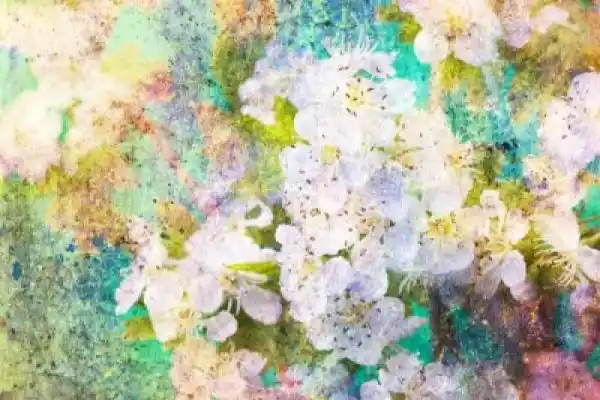Obraz Wiosenne Kwiaty Białe Plamy Akwarela I Niechlujny