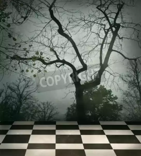 Obraz Piękny Surrealistyczne Tło Drzew I Czarno-Biały W Kratkę P