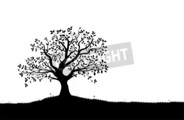 Obraz Vector Sylwetka Drzewa, Kwiaty I Trawa, Czarne I Białe Wek